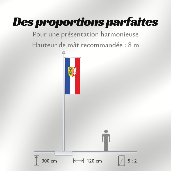 Proportions du drapeau : Schleswig-Holstein