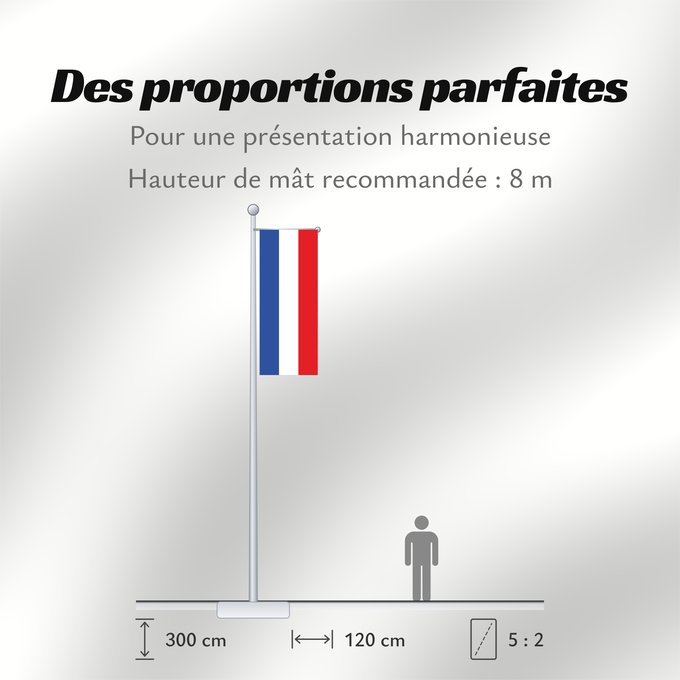 Proportions du drapeau : Schleswig-Holstein