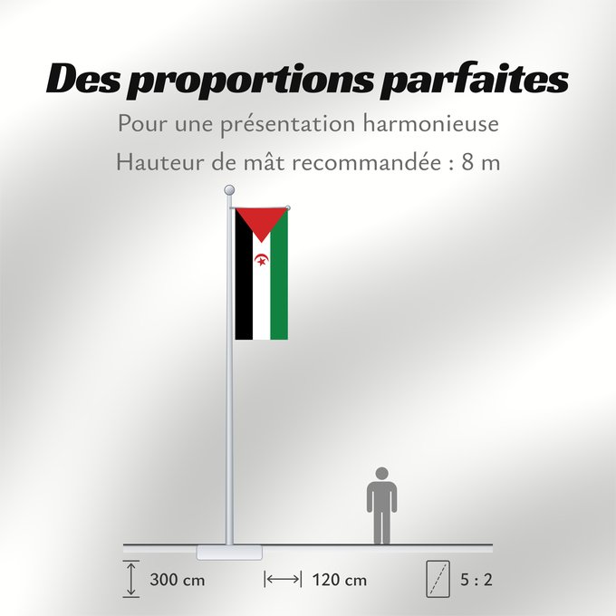 Proportions du drapeau : Sahrawi Arab Democratic Republic	Western Sahara	République arabe sahraouie démocratique	República Árabe Saharaui Democrática	Demokratischen Arabischen Republik Sahara	Repubblica Democratica Araba Sahrawi	Arabische Democratische Republiek Sahara	República 