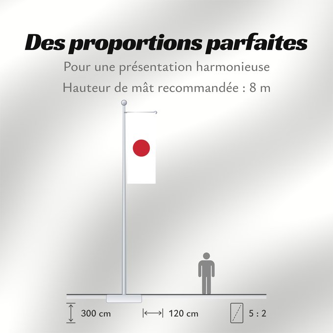 Proportions du drapeau : Japan Japon Japón Giappone