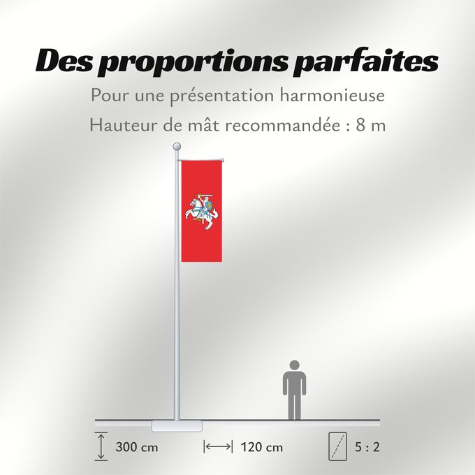 Proportions du drapeau : Lithuania	Lituanie	Lituania	Litauen	Lituana	Litouwen	Lituânia	Litwy	Litevská vlajka	Litauens	Litovio	Leedu lipp	Liettuan	Liotuáine	Litve	Litvánia	Lietuvas	Tal-Litwanja	Lituaniei	Litvy