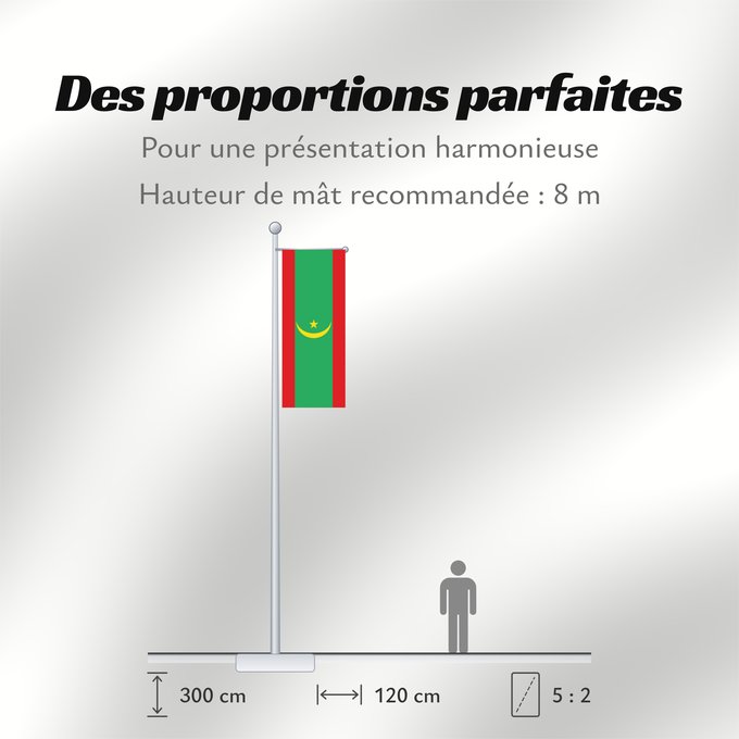 Proportions du drapeau : Mauritania Mauritanie La Asamblea Nacional de Mauritania aprobó cambiar el diseño de la bandera nacional Mauretanien علم موريتانيا ، اعتمد في عام 2017. أضاف مجلس الأمة خطوطًا حمراء على الحافة العلوية والسفلية لتمثل دماء شهداء الاستقلال