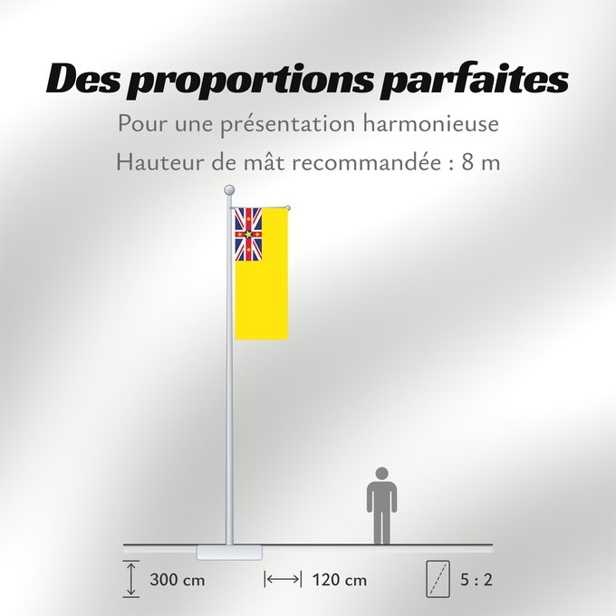 Proportions du drapeau : Niue Niue New Zealand ニウエの国旗 Pīwari o Niuē