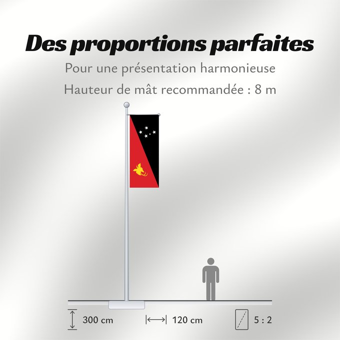 Proportions du drapeau : Papua New Guinea	Papua New GuineaColours Pantone 186 C for red and 116 C for yellow	Papouasie-Nouvelle-Guinée	Papúa Nueva Guinea	Papua-Neuguineas	Papua Nuova Guinea	Papoea-Nieuw-Guinea	Papua-Nova Guiné	Papui-Nowej Gwinei	علم بابوا غينيا الجديدة	পাপুয়া নি