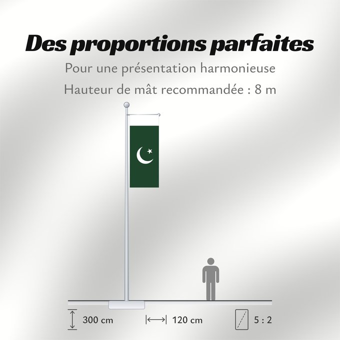 Proportions du drapeau : Pakistan Pakistan Pakistán Paquistão علم باكستان পাকিস্তানের জাতীয় পতাকা পাকিস্তানর ফিরালহান Pakistano पाकिस्तान का ध्वज ପାକିସ୍ତାନୀ ଝଣ୍ଡା ਪਾਕਿਸਤਾਨ ਦਾ ਕੌਮੀ ਝੰਡਾ د پاکستان بيرغ Флаг Пакистана Pakistana பாக்கித்தான் கொடி Прапор Пакистану پاکستان کا پرچم