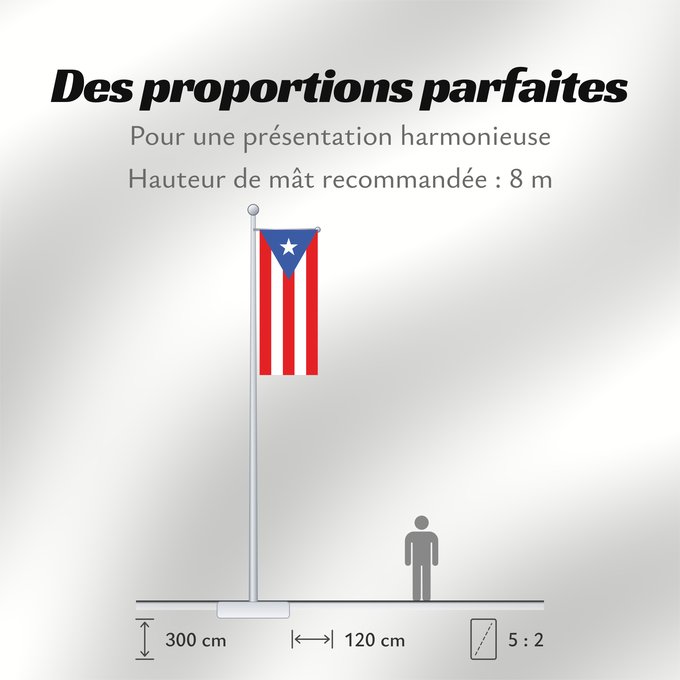 Proportions du drapeau : Puerto Rico	Porto Rico	Puerto Ricos	Portoryka	Porto-Riko	De Porto Rico	Ka hae Pokoliko	Standardo di Porto-Riko	Portuum Divum	Porto Rica	Флаг Пуэрто-Рико	Прапор Пуерто-Рико	Stän Puertorikeänas