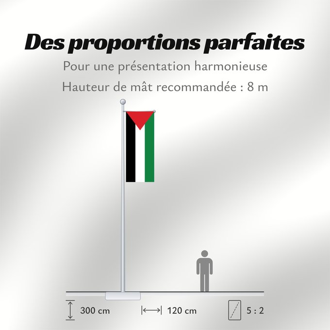 Proportions du drapeau : Palestine	State of Palestine	L’État de Palestine	Estado de Palestina	Palästina	Palestina	علم فلسطين	ফিলিস্তিনের পতাকা	Palestino	Dari Negara Palestina	Флаг Государства Палестина
