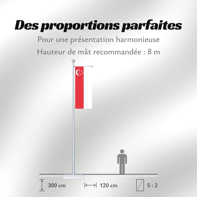 Proportions du drapeau : Singapore	Singapour	Singapur	Singapuru	علم سنغافورة	Singapuro	Singapura	Флаг Сингапура	Singapurja	சிங்கப்பூரி்ன் கொடி	​新加坡国旗
