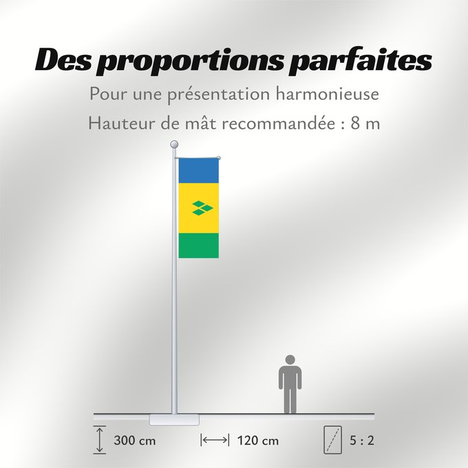 Proportions du drapeau : Saint Vincent and the Grenadines	Saint-Vincent-et-les Grenadines	San Vicente y las Granadinas	St. Vincent und die Grenadinen	Saint Vincent e Grenadine	Флаг Сент-Винсента и Гренадин	Saint Vincenta in Grenadin