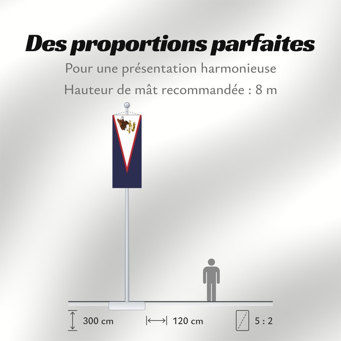 Proportions du drapeau : American Samoa	American Samoa, United States	Samoa américaines	Samoa Americana	Amerikanisch-Samoa	Samoa Americane	Amerikaanisch-Samoa	Fu a o Amerika Sāmoa
