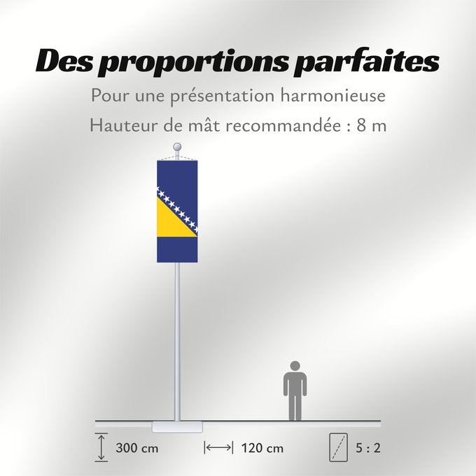 Proportions du drapeau : Bosnia and Herzegovina Bosnie-Herzégovine Bosnia y Herzegovina Bosnien und Herzegowina Bosnia-Erzegovina Bosnië en Herzegovina Bośni i Hercegowiny علم البوسنة والهرسك Bosne i Hercegovine Bosny a Hercegoviny Боснꙑ ꙁнамѧ / Ⰱⱁⱄⱀⱏⰺ ⰸⱀⰰⰿⱔ Bosnien-Hercegovinas