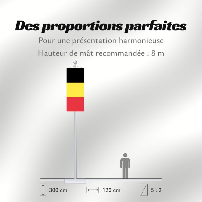 Proportions du drapeau : Belgium  civil	The civil ensign and flag of Belgium	Belgique	Bélgica	Belgien	Belgio	België in de verhouding 2 3, gebruikt als civiele vlag en de facto nationale vlag	Belgii	Belgiens	Civilna zastava Belgije	Флаг Бельгии