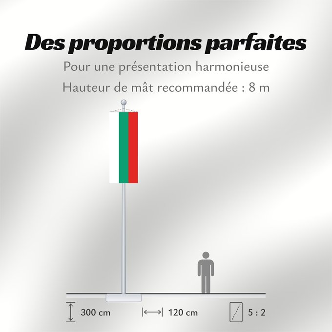 Proportions du drapeau : Bulgaria La Bulgarie Bulgarien Bulgara Bulgarije Bulgária Bułgarii Национално знаме на България Bulharská vlajka ꙁна́мѧ Блъгарі́ꙗ Bulgariens Σημαία της Βουλγαρίας Bulgaaria lipp Bulgarian Bulgáire דגל בולגריה Bugarske ბულგარეთის დროშა Bulgaresche Fändel B
