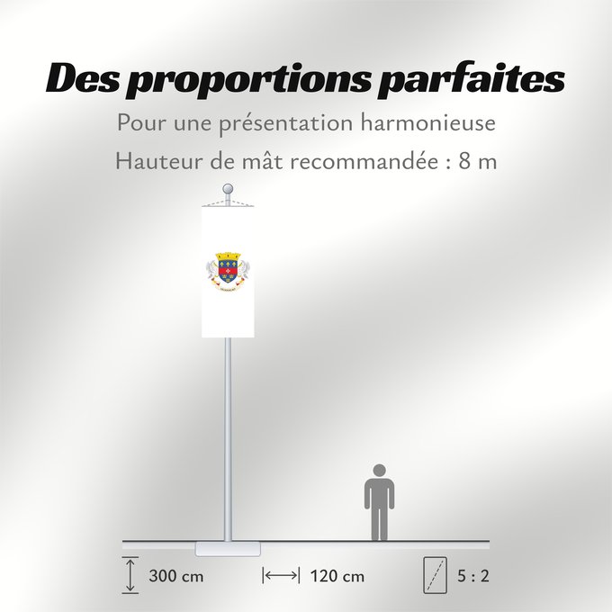 Proportions du drapeau : Saint Barthélemy