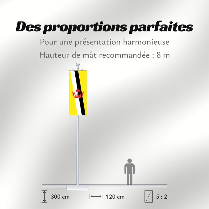 Proportions du drapeau : Brunei Brunei Darussalam Brunéi علم بروناي Bruneis Brunein 브루나이의 국기 Bruney Brunei / بنديرا بروني ဘရူနိုင်းနိုင်ငံ၏ အလံတော် Флаг Брунея Bruneja புரூணை கொடி ธงชาติบรูไนดารุสซาลาม Watawat Brunay Cờ Brunei 文莱国旗