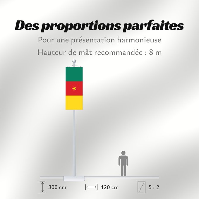 Proportions du drapeau : Cameroon Cameroun Camerún Kamerun Camerun ক্যামেরুনের পতাকা। Kamerunu Kameruno پرچم کامرون Fändel vum Kamerun Знаме на Камерун Camerunului Kameruna Kameruns