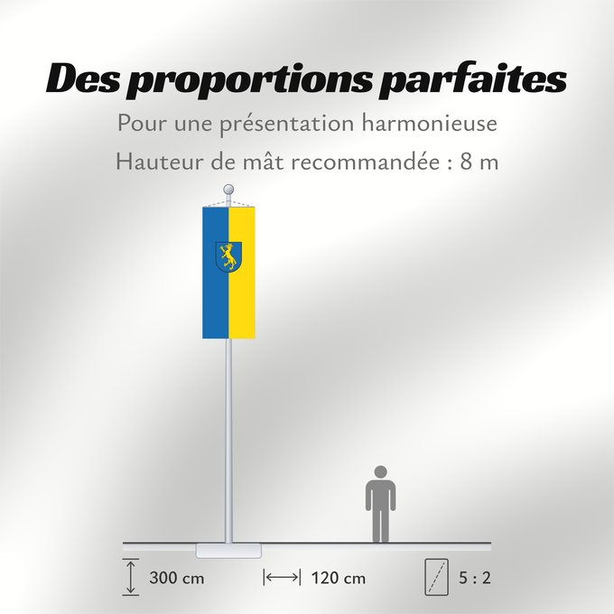 Proportions du drapeau : Biberach an der Riß (Württembergisches Allgäu Oberschwaben)