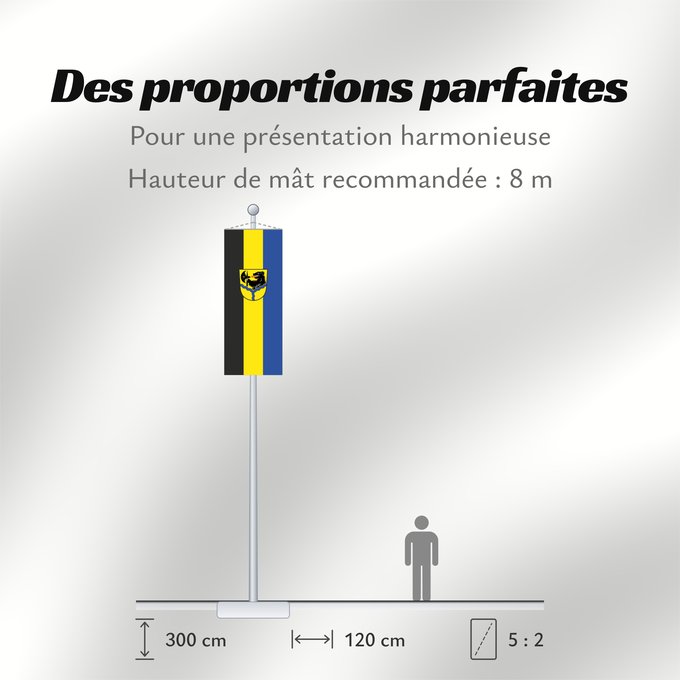 Proportions du drapeau : Haiming (Inn-Salzach)