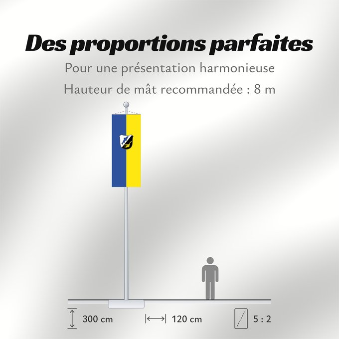 Proportions du drapeau : Petershausen (Münchener Umland)