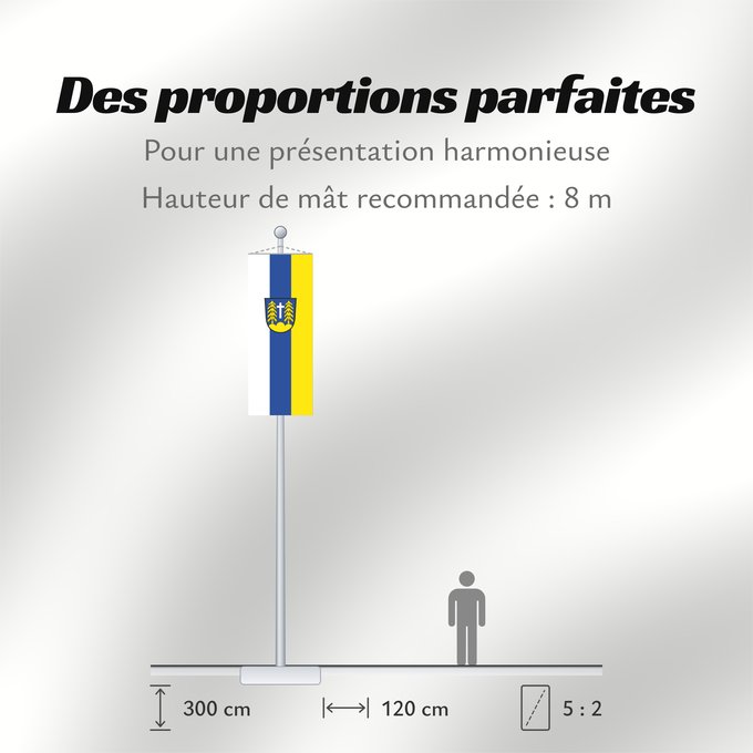 Proportions du drapeau : Forstinning (Ebersberger Grünes Land)