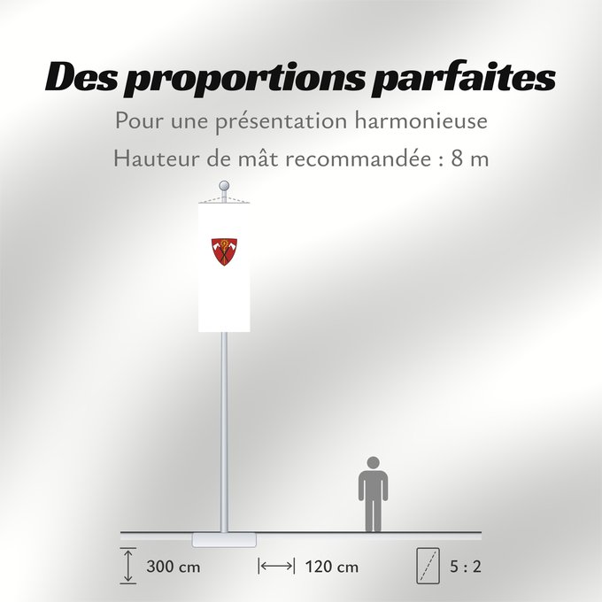 Proportions du drapeau : Beilngries, St (Naturpark Altmühltal)
