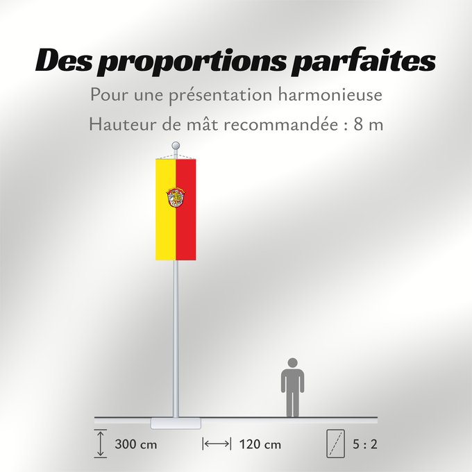 Proportions du drapeau : Mettenheim (Inn-Salzach)