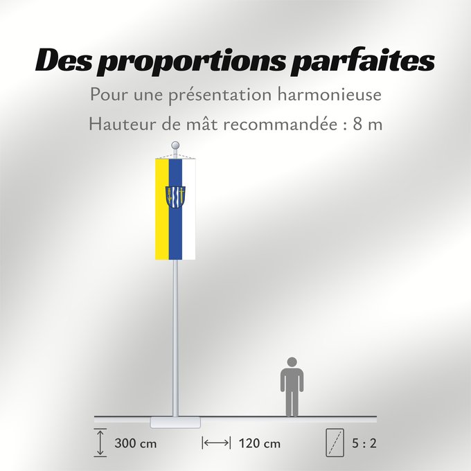 Proportions du drapeau : Aresing (Oberbayerns Städte)
