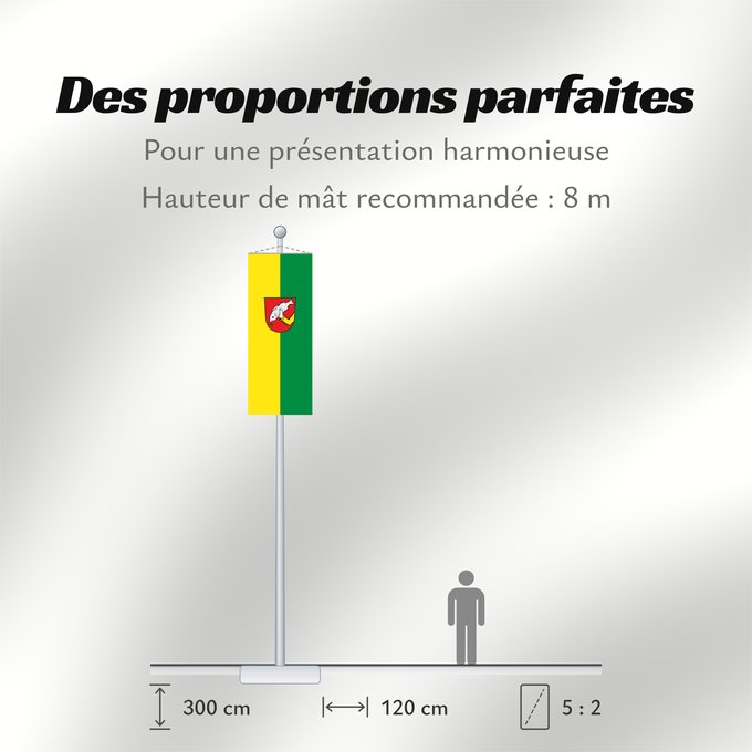 Proportions du drapeau : Schonstett (Chiemsee-Alpenland)