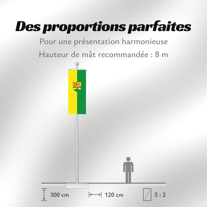 Proportions du drapeau : Niederalteich (Bayerischer Wald)