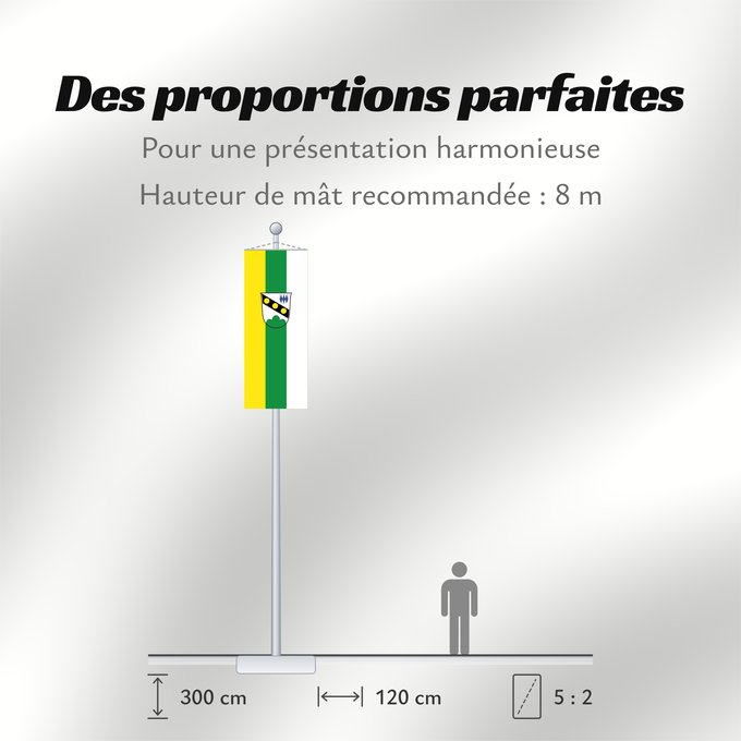 Proportions du drapeau : Oberpöring (Bayerisches Golf- und Thermenland)