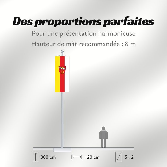 Proportions du drapeau : Hinterschmiding (Bayerischer Wald)