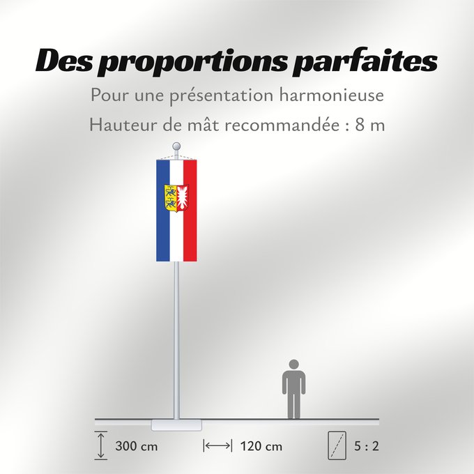 Proportions du drapeau : Schleswig-Holstein