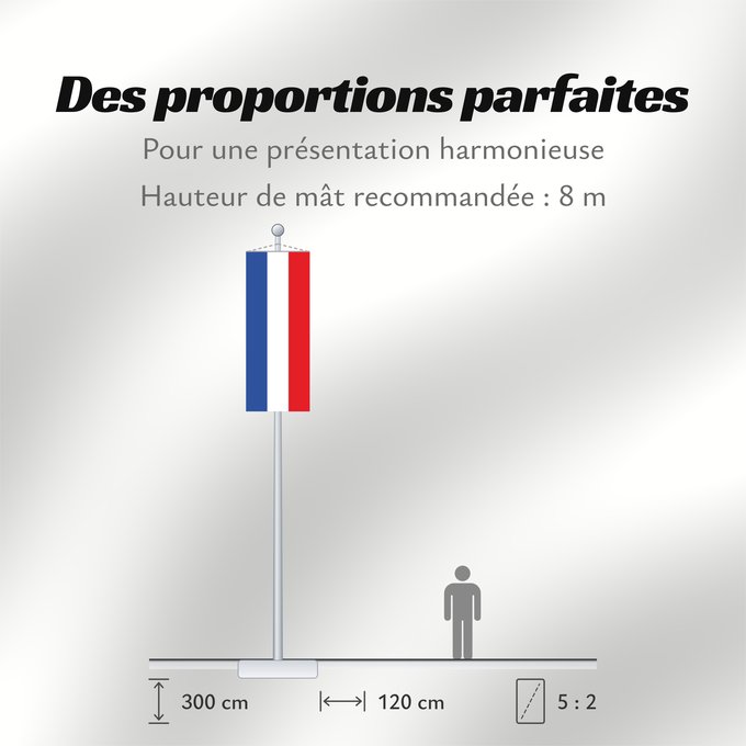 Proportions du drapeau : Schleswig-Holstein