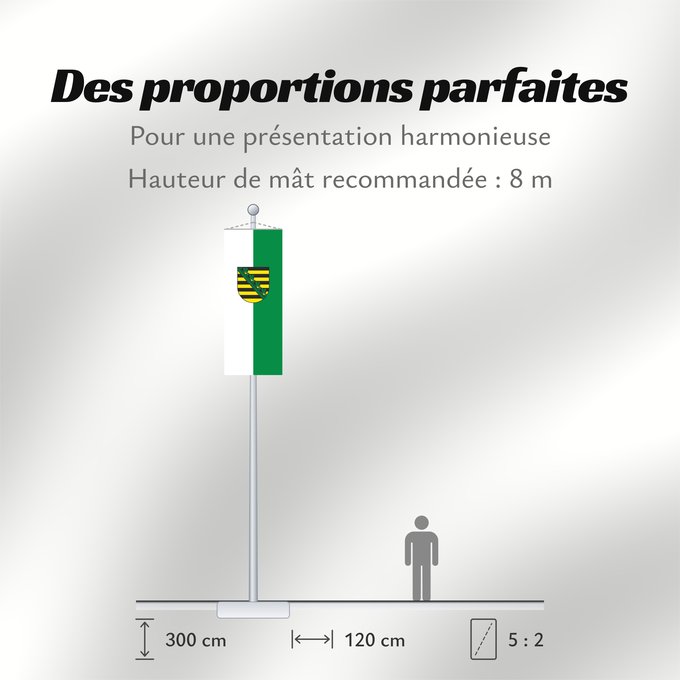 Proportions du drapeau : Saxony	Civil flag of Saxony	Saxe	Sajonia	Landesflagge Sachsens	Sassonia	Sachsens	Chorhoj Sakskeje	Flaage fon Saksen