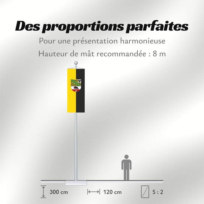 Proportions du drapeau : Saxony-Anhalt	Saxony-Anhalt 	Saxe-Anhalt	Sajonia-Anhalt	Sachsen-Anhalt	Sassonia-Anhalt