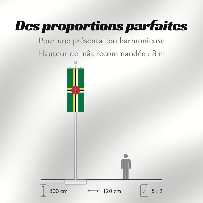 Proportions du drapeau : Dominica	 Dominique	Dominica lipp	Dominican	ドミニカ国の国旗	Флаг Доминики	Dominike	Dominicas