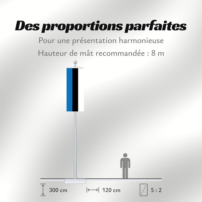 Proportions du drapeau : Estonia L Estonie Estland Estone Estónia Estonii Сцяг Эстоніі Национално знаме на Естония Estonská vlajka Σημαία της Εσθονίας Eesti lipp پرچم کشور استونی Viron HEastóine Észtország エストニアの国旗 ესტონეთის დროშა Estijos Igaunijas Знаме на Естонија Estoniei Флаг