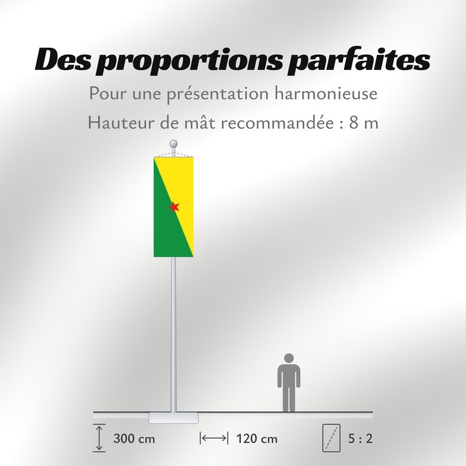 Proportions du drapeau : French Guiana	Guyane	Guayana Francesa	Französisch-Guayana	Guyana Francese