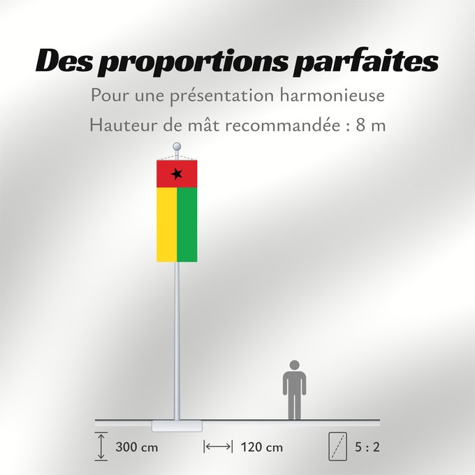 Proportions du drapeau : Guinea-Bissau	Guinée-Bissau	Guinea-Bissaus	Guiné-Bissau	Gvineo Bisaŭa	پرچم گینه بیسائو	Флаг Гвинеи-Бисау	Gvineje Bissau