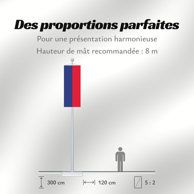 Proportions du drapeau : Haiti  civil	Civil flag of Haiti	Haïti	Haití	Haiti
