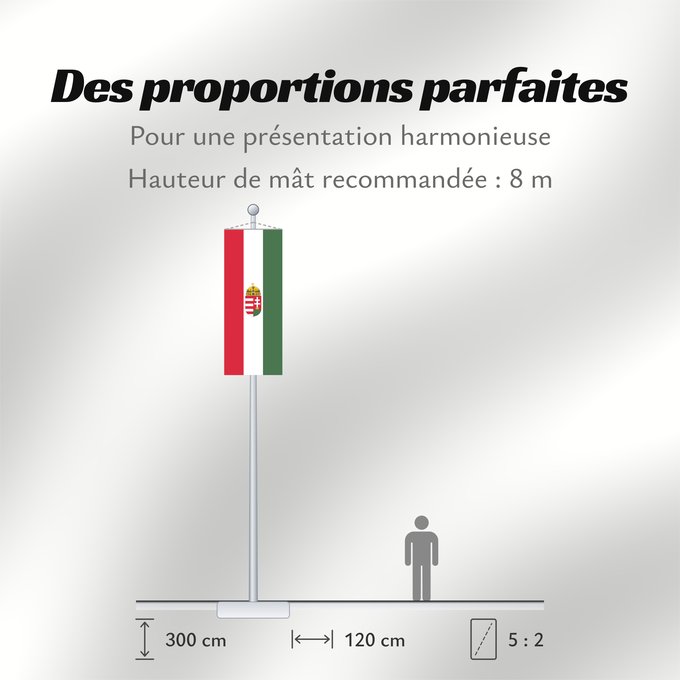 Proportions du drapeau : Hungary	Hongrie	Hungría	Ungarn	Dell Ungheria	Hongarije	Hungria	Banniel Hungaria	Ungarns	Hungario	Ungari lipp	Unkarin	HUngáire	Magyarország	Hungaria	Hungariae	Tal-Ungerija	Styago Ungariya	Ungariei	Madžarske	Ungerns	Stän Macaräna