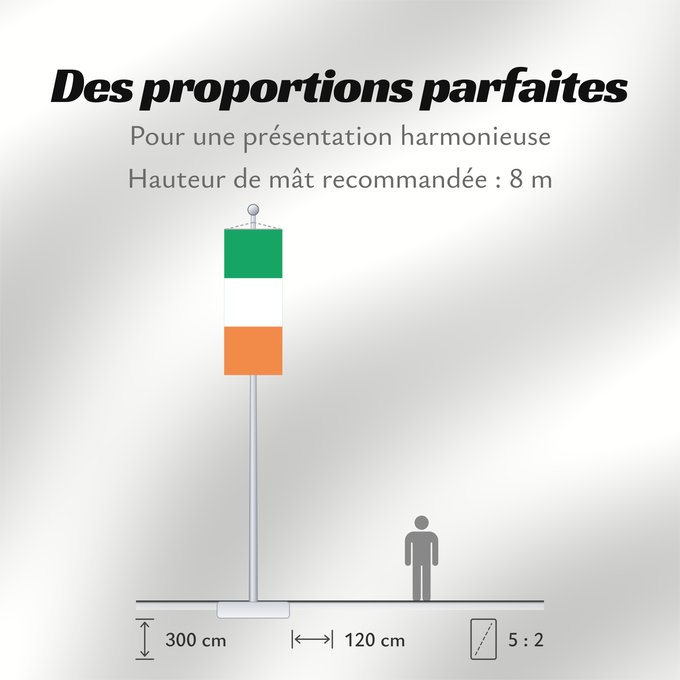 Proportions du drapeau : Ireland Note that the green portion of the flag was designed to represent the majority Catholic residents of the island La partie verte du drapeau représente la majorité catholique de l île Es notable el hecho que la parte verde de la bandera representa l
