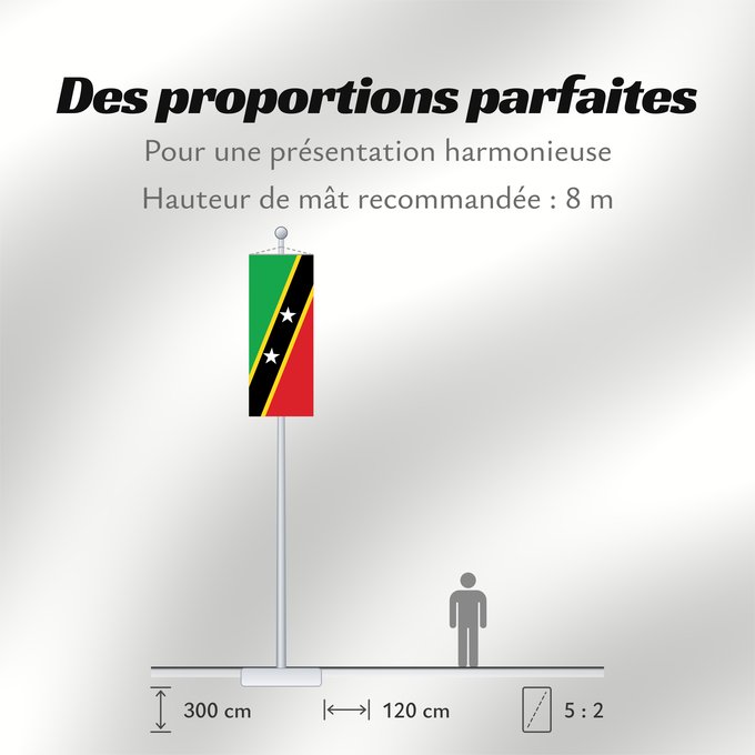 Proportions du drapeau : Saint Kitts and Nevis	Saint-Christophe-et-Niévès	San Cristóbal y Nieves	St. Kitts und Nevis	Saint Kitts e Nevis	Saint Kitts a Nevis	Shan Críostóir-Nimheas	Sen Kitts ha Nevis	Флаг Сент-Китса и Невиса	Saunt Kitts an Nevis	Saint Kittsa in Nevisa
