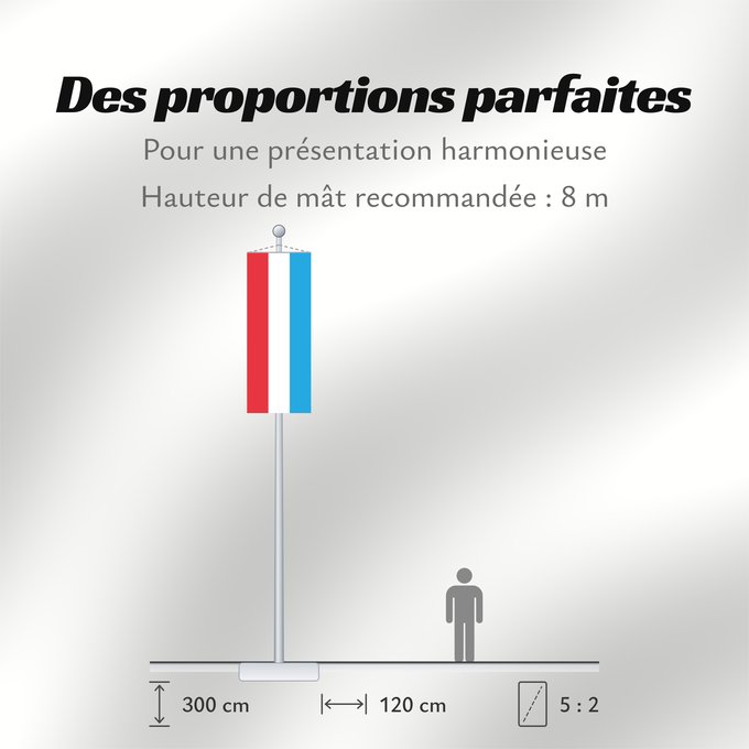 Proportions du drapeau : Luxembourg	Luxemburgo	Luxemburg	Lussemburghese	Luksemburga	Сцяг Люксембурга	Национално знаме на Люксембург	Banniel Luksembourg	Lucemburská vlajka	Luxembourgs	Σημαία του Λουξεμβούργου	Luksemburgi lipp	پرچم لوکزامبورگ	Luxemburgin	Lucsamburg	ლუქსემბურგის დრო