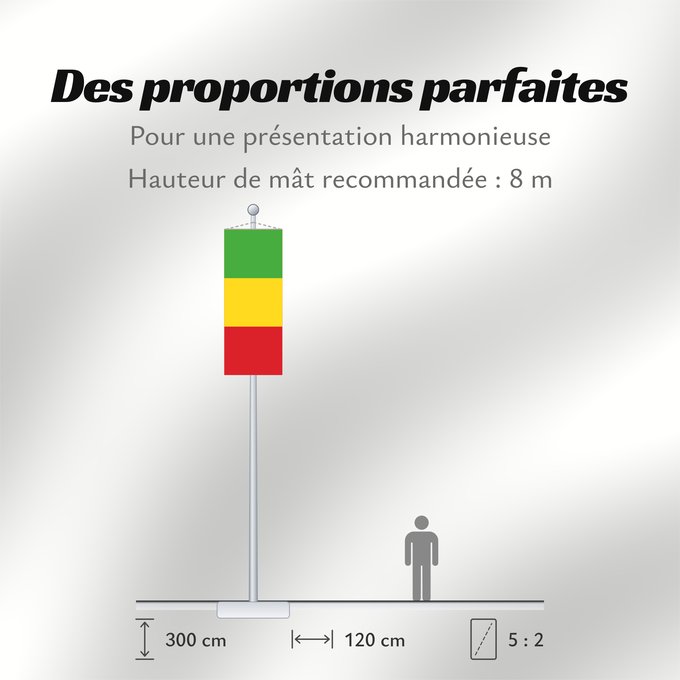 Proportions du drapeau : Mali	Malí	علم مالي	Mali finifana	Malija	Raaya bu Mali