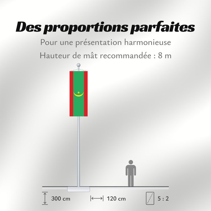Proportions du drapeau : Mauritania	Mauritanie	La Asamblea Nacional de Mauritania aprobó cambiar el diseño de la bandera nacional	Mauretanien	علم موريتانيا ، اعتمد في عام 2017. أضاف مجلس الأمة خطوطًا حمراء على الحافة العلوية والسفلية لتمثل  دماء شهداء الاستقلال