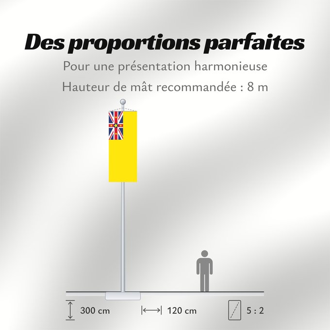 Proportions du drapeau : Niue	Niue  New Zealand	ニウエの国旗	Pīwari o Niuē
