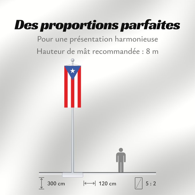 Proportions du drapeau : Puerto Rico	Porto Rico	Puerto Ricos	Portoryka	Porto-Riko	De Porto Rico	Ka hae Pokoliko	Standardo di Porto-Riko	Portuum Divum	Porto Rica	Флаг Пуэрто-Рико	Прапор Пуерто-Рико	Stän Puertorikeänas