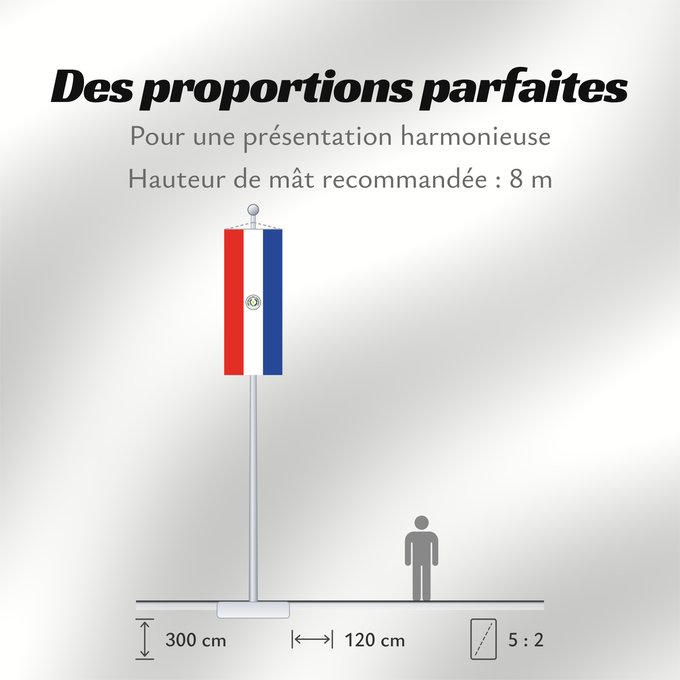 Proportions du drapeau : Paraguay Paraguay obverse علم باراغواي پرچم پاراگوئه روی پرچم Флаг Парагвая
