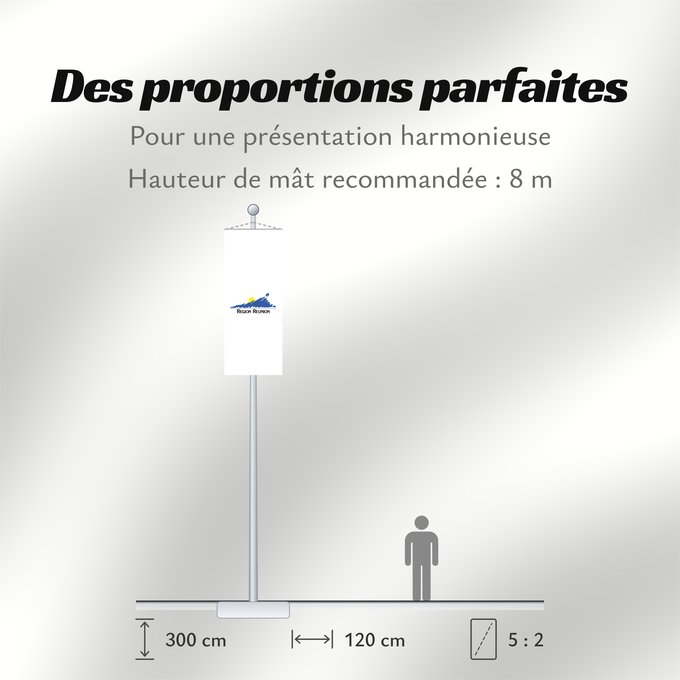 Proportions du drapeau : Réunion